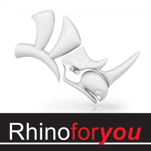 Rejoignez RHINOFORYOU à BATIMAT 2019 et découvrez ces solutions innovantes !