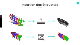 06 - Insertion des étiquettes Partie 1