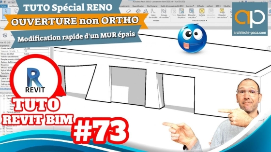 Créer et percer un mur en forme libre #REVIT : #tuto astuce rénovation en  2 minutes !