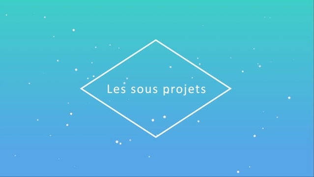 07 - Collaboration et sous projets