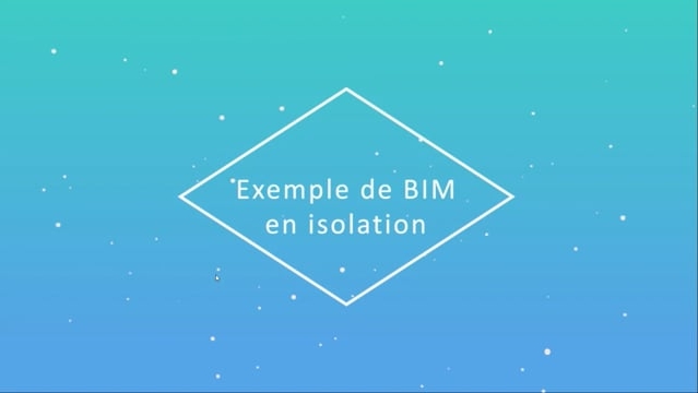 02 - BIM niveau 1